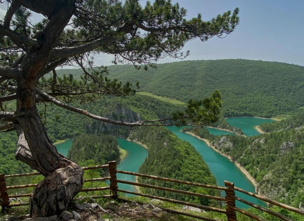 فيلا Mountain Soul Rest جابلياك المظهر الخارجي الصورة